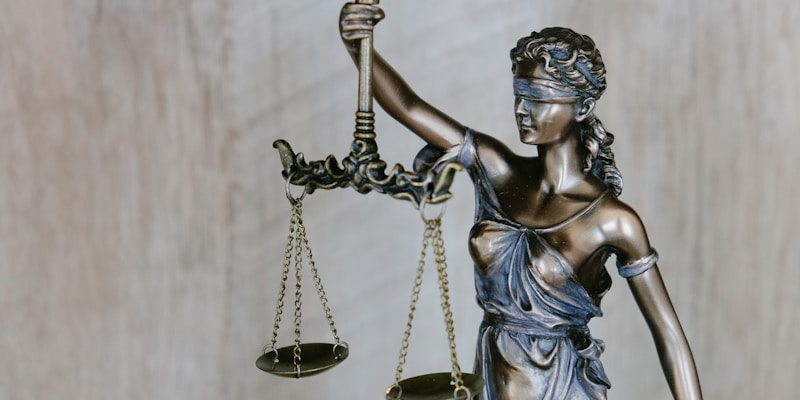 法律条文和规定